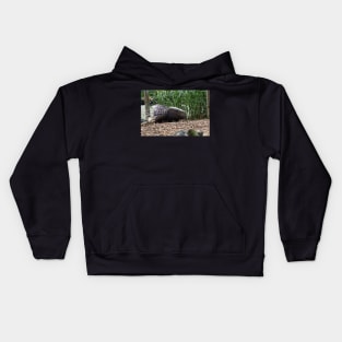 African Crested Porcupine Kids Hoodie